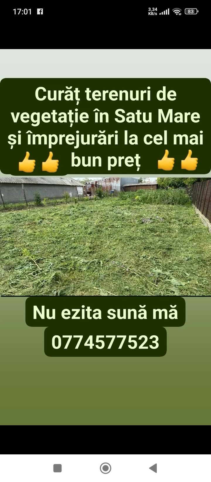 Întreținere spații verzi Satu Mare