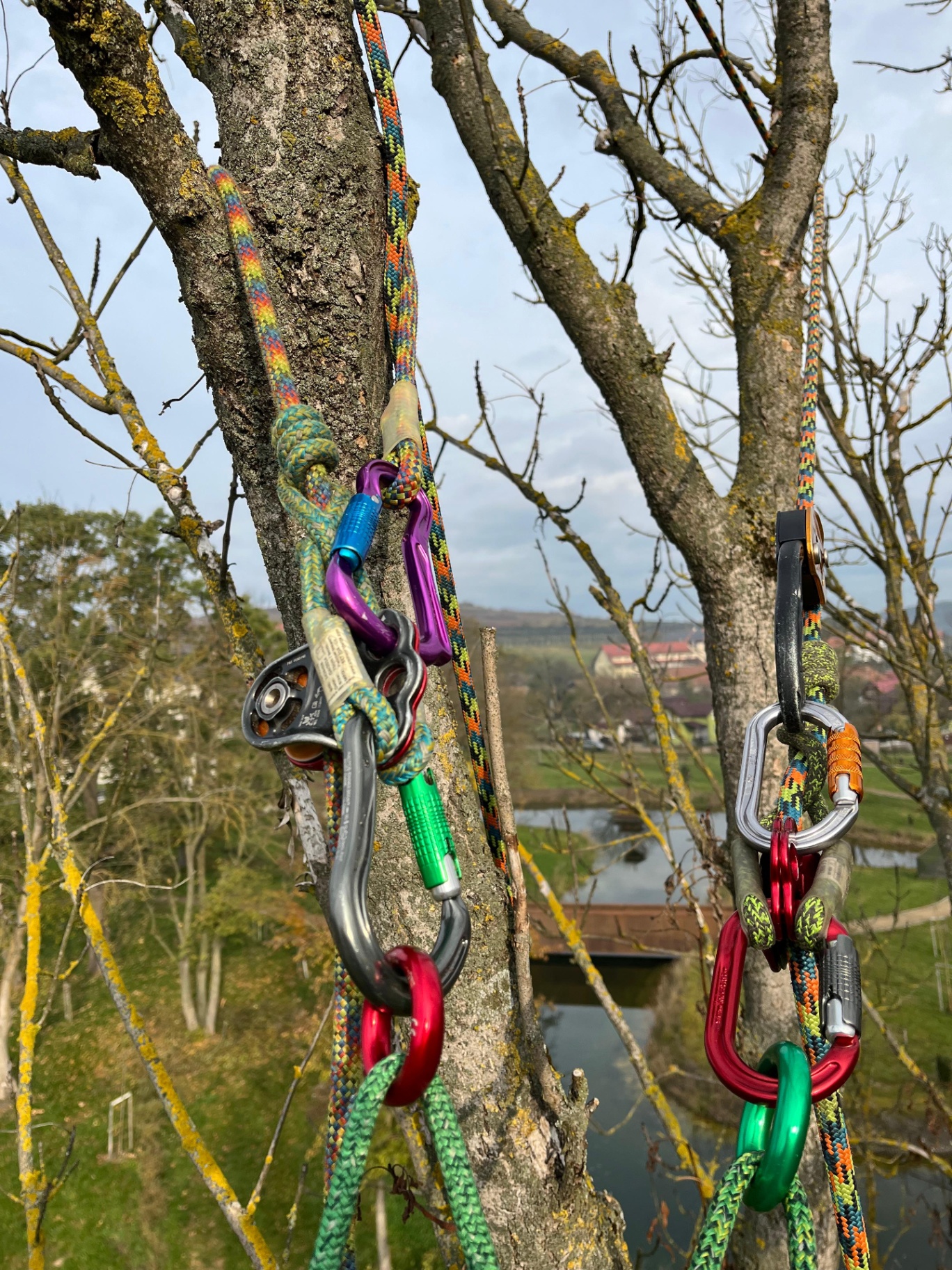 Certificat si autorizat ISA Curatare si taiere arbori